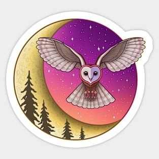 Barn Owl Night Sticker